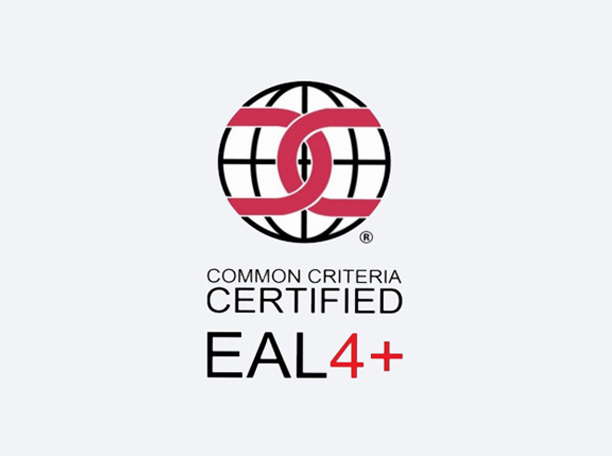 Common Criteria EAL 4 +